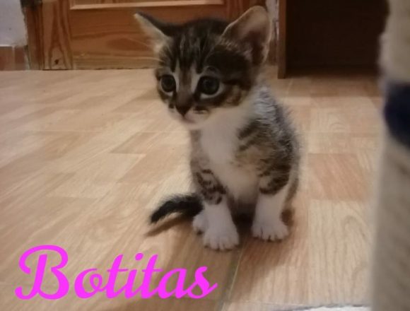 Botitas Botitas